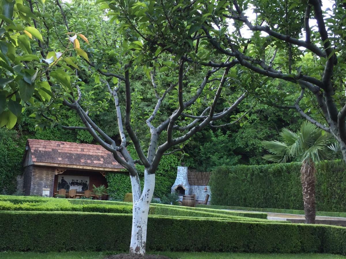 Aragvi valley Villa Tsitelsopeli Dış mekan fotoğraf