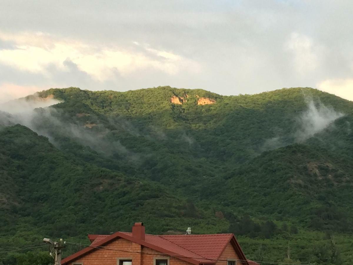 Aragvi valley Villa Tsitelsopeli Dış mekan fotoğraf
